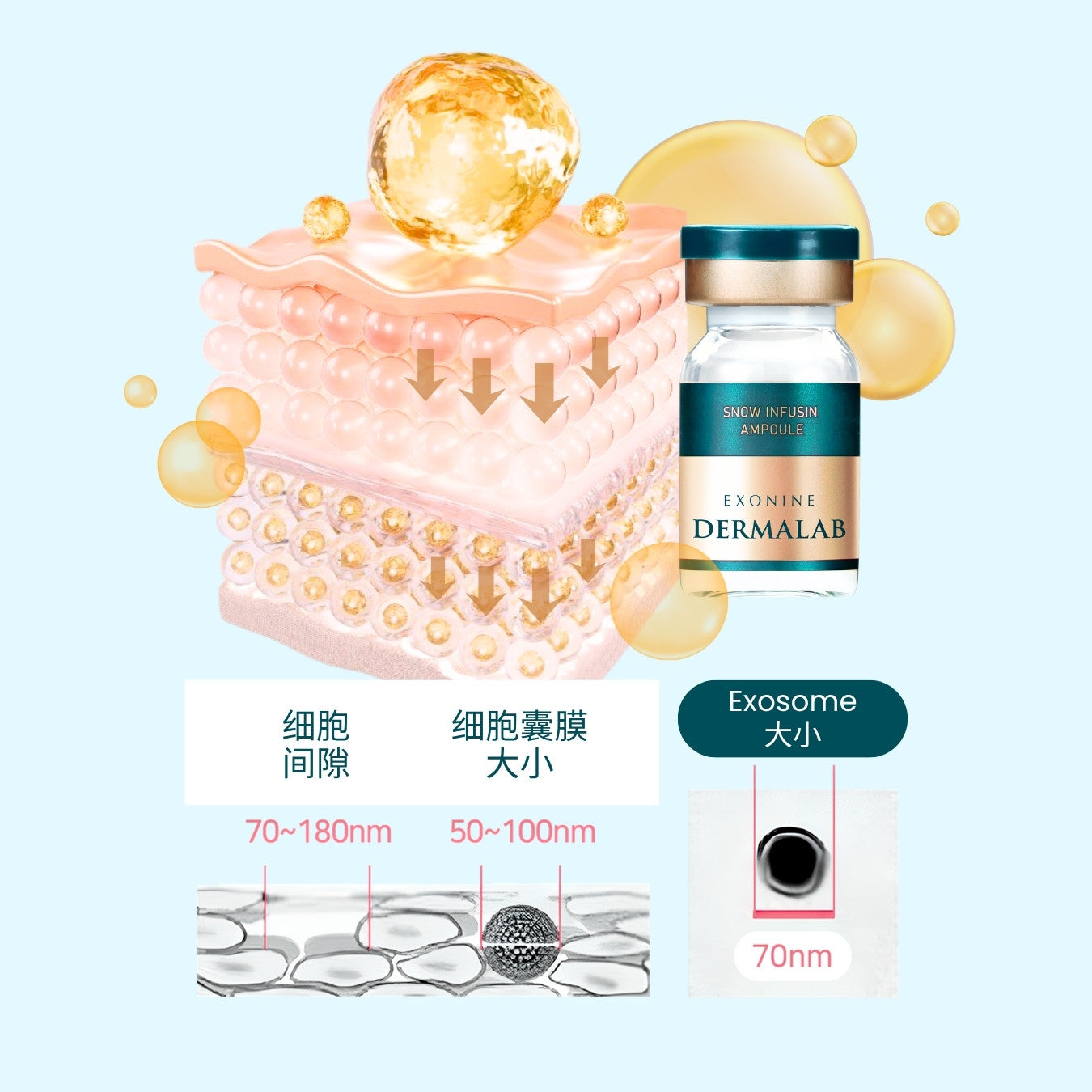 EXONINE DERMALAB Snow Infusin Ampoule – Ruby-Cell Malaysia