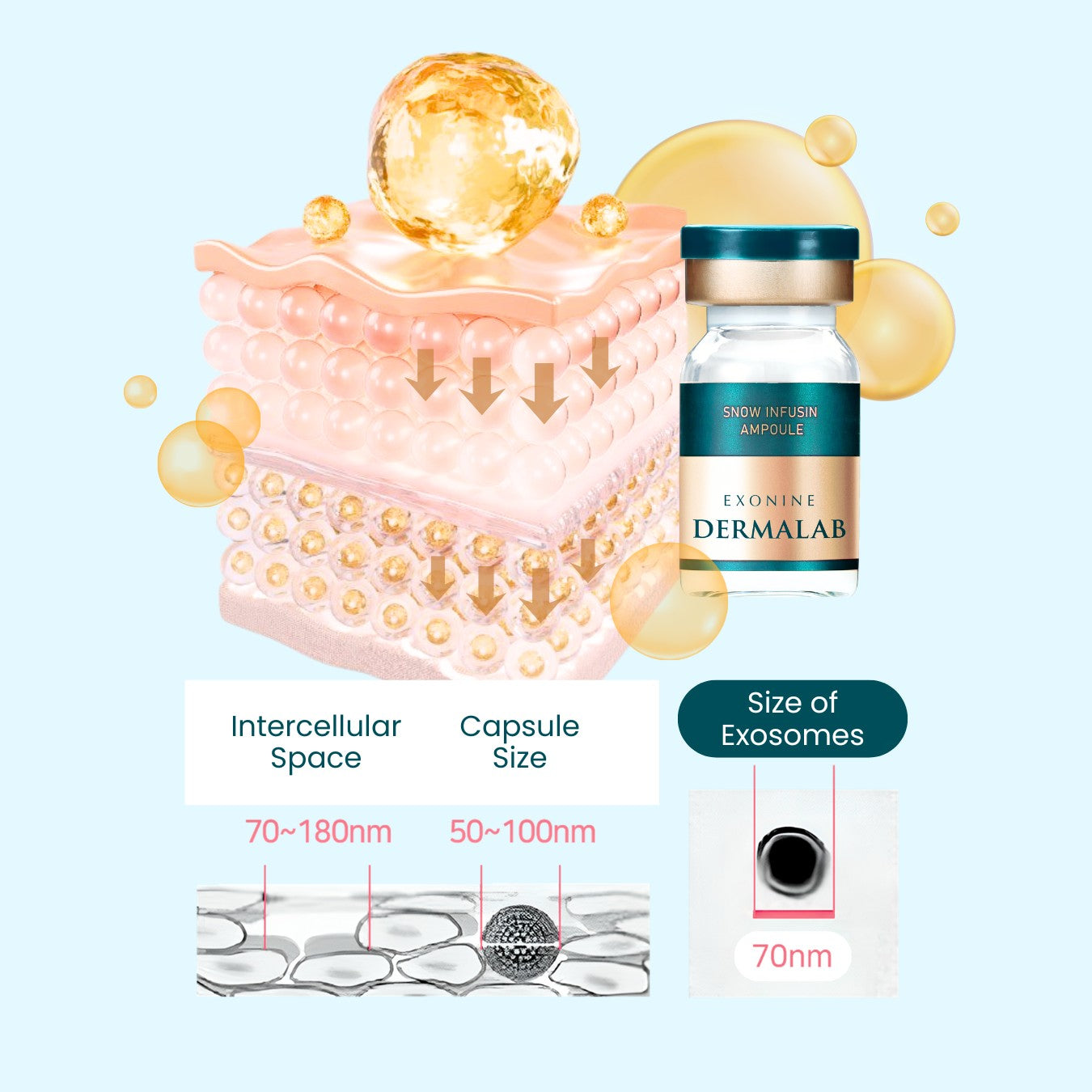 美容液 EXONINE DERMACODE  INFUSIN AMPOULE EXONINE DERMALAB Snow Infusin Ampoule – Ruby-Cell Malaysia